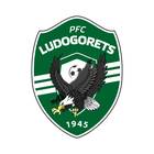 PFC Ludogorets Razgrad