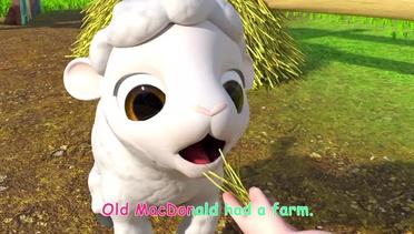 Ol' MacDonald (Baby Animal Version)