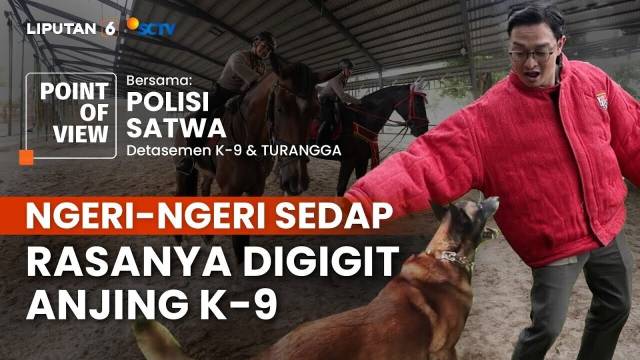 Rasanya Digigit Anjing K-9 & Naik Kuda Turangga Milik Direktorat Polisi Satwa Baharkam Polri | POV
