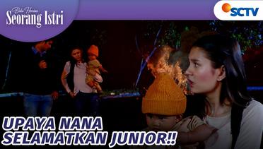 Nana Ambil Langkah! Selamatkan Junior | Buku Harian Seorang Istri - Episode 612