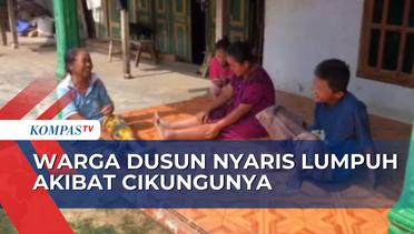 Ratusan Warga Dusun Trenceng Terjangkit Virus Cikungunya, Warga Berharap Dinkes Turun Tangan
