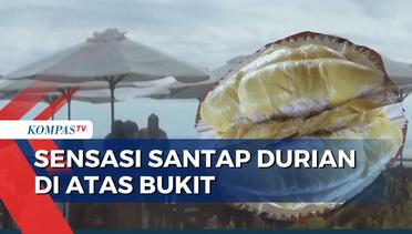 Wisata Bukit Sagara Sukabumi, Nikmati Makan Durian Sambil Lihat Pemandangan dari Atas Bukit