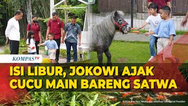 Momen Jokowi Ajak Cucu Main Bersama Satwa di Deli Serdang
