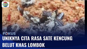 Wisata Kuliner Sate Kuncung Belut Khas Lombok | Fokus