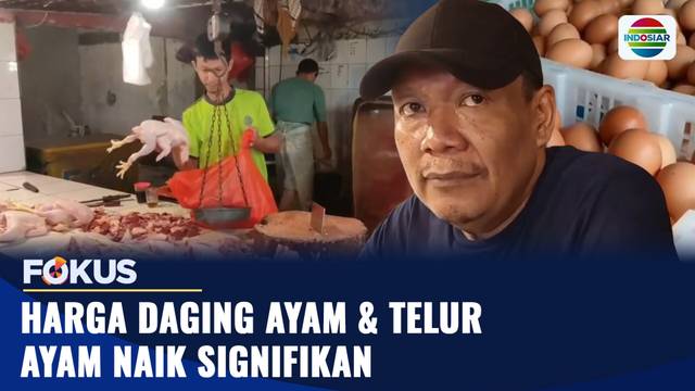 Harga Daging Ayam dan Telur Ayam Naik Signifikan | Fokus