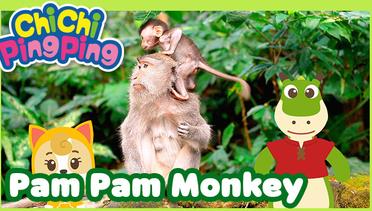 Monyet Pam Pam