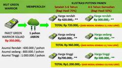 Bag 5 | Berkah Investasi Pohon Jabon Syariah di PT. Global Agro Bisnis