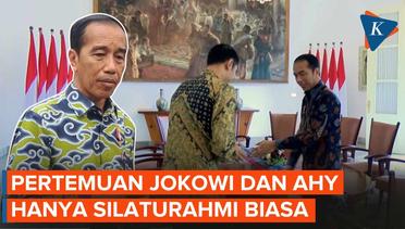 Jokowi Ungkap Isi Pertemuan dengan AHY di Istana