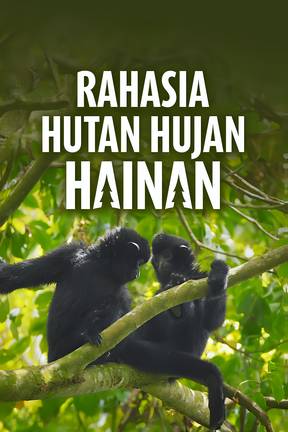Rahasia Hutan Hujan Hainan