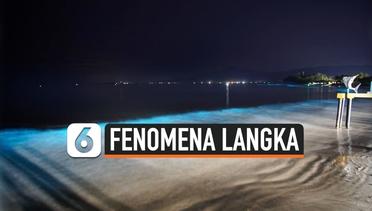 Viral Laut Warna Biru di Lampung