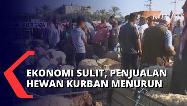 Idul Adha di Tengah Sulit Perekonomian Gaza, Pedagang Mengeluh Penjualan Hewan Kurban Menurun!