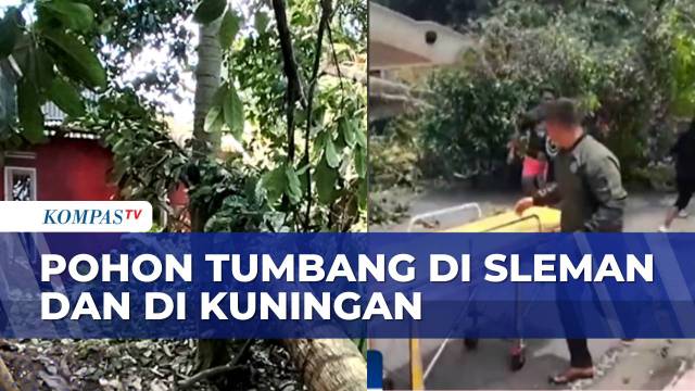Cuaca Ekstrem Terjang Sleman dan Kuningan, Pohon Tumbang Timpa pengendara dan Rumah Warga