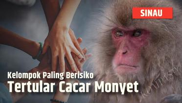Catat, Ini Dia Kelompok Paling Berisiko Tertular Penyakit Cacar Monyet | SINAU