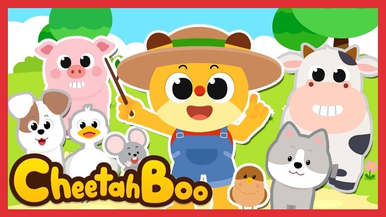 cheetahboo-animal-songs-animal-music-band-2023-vidio