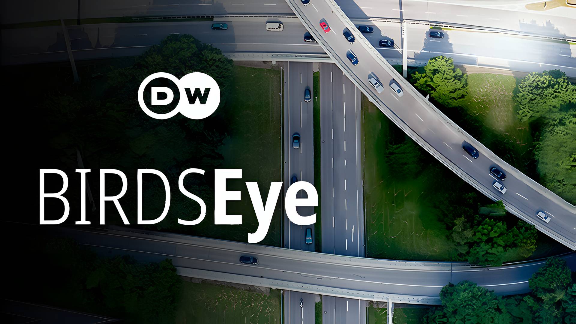 DW - Birds Eye