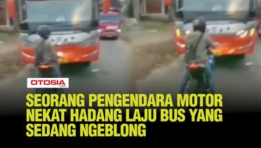 Momen Unik Seorang Pria Nekat Berhenti di Tengah Jalan Hadang Laju Bus yang Sedang Ngeblong