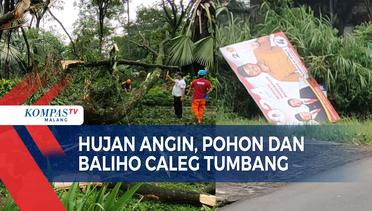 Pohon dan Baliho Caleg di Malang Tumbang Diterjang Hujan dan Angin Kencang