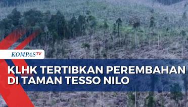 KLHK Riau Robohkan 36 Rumah yang Berdiri di Hutan Taman Nasional Tesso Nilo