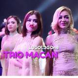 L3GOL3GOna Trio Macan
