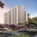 Provident Ecopolitan