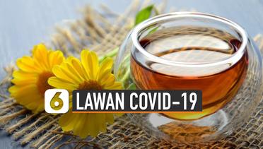 Lawan Covid-19, Jaga Imun Dengan Manfaat Kebaikan dari Teh