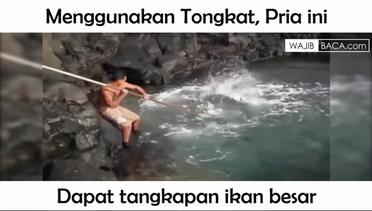 Amazing Pria ini Berhasil Menangkap Ikan Besar dengan Tongkat - Wajib Nonton