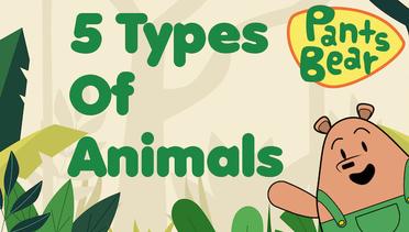 Animal classification for Kids | Mammals, Birds, Reptiles, Amphibians & Fish