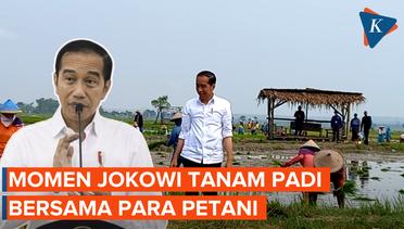 Kunjungan ke Tuban, Jokowi Ikut Tanam Padi Bersama Para Petani