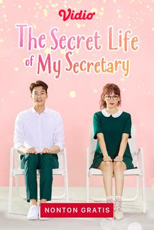 The Secret Life of My Secretary