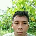 Sutris
