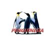 Penguin TV