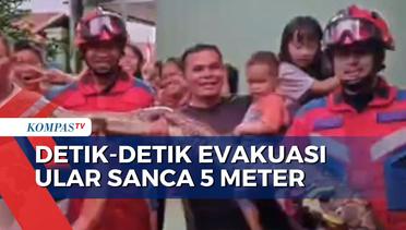 Damkar Ciracas Evakuasi Ular Sanca Sepanjang 5 Meter di Saluran Air Rumah Warga!