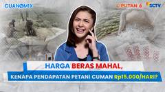 Harga Beras Mahal, Kenapa Pendapatan Petani Cuma Rp15.000 per Hari? | Cuanomix