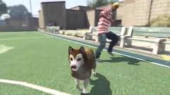 GTA 5 - Bermain Sebagai Binatang (Anjing, Kucing, Sapi, Babi, Kelinci, Kijang & lain-lain.) [PS4 & Xbox One]