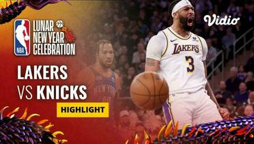 LA Lakers vs New York Knicks - Highlights  | NBA Regular Season 2023/24