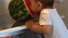 Anak Kecil Makan Semangka di Dalam Kulkas - Kocak