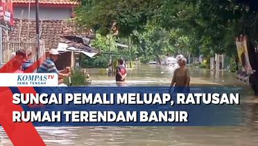 Sungai Pemali Meluap, Ratusan Rumah Terendam Banjir