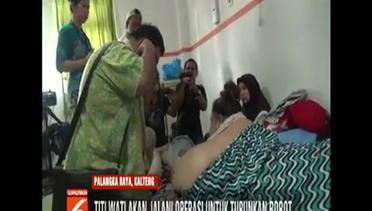 Titi Wati Akan Jalani Operasi untuk Turunkan Bobot Tubuh - Liputan 6 Terkini
