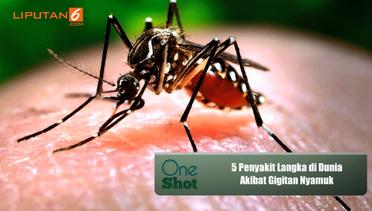 #OneShot: 5 Penyakit Langka di Dunia Akibat Gigitan Nyamuk
