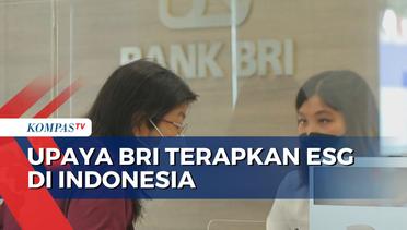 Upaya BRI Berperan Menghijaukan Indonesia Lewat ESG