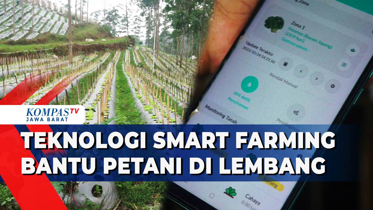 Inovasi Petani Muda di Desa Sikabau