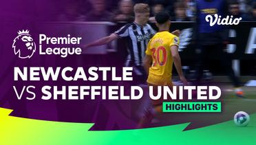 Newcastle vs Sheffield United - Highlights | Premier League 23/24