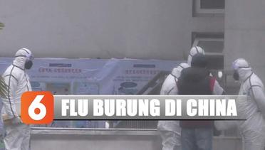 Flu Burung Kembali Merebak di Tengah Penanganan Virus Corona di China