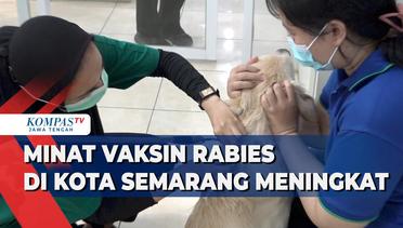 Minat Vaksin Rabies di Kota Semarang Meningkat