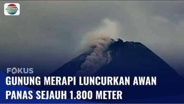 Gunung Merapi Keluarkan Semburan Awan Panas Sejauh 1.800 Meter | Fokus