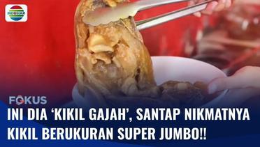 Unik!! Kuliner ‘Kikil Gajah’, Kikil dari Kaki Sapi dengan Ukuran Super Besar!! | Fokus