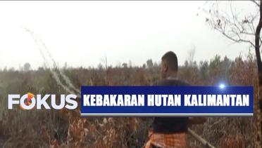 Meski Hujan Sudah Turun, Karhutla Masih Terjadi di Kalimantan - Fokus Pagi