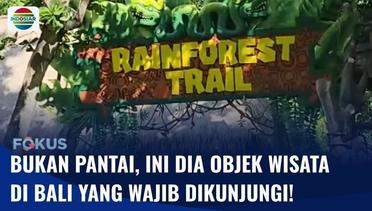 Rainforest Trail di Bali Safari Bawakan Suasana Hutan Hujan Tropis ke Bali | Fokus