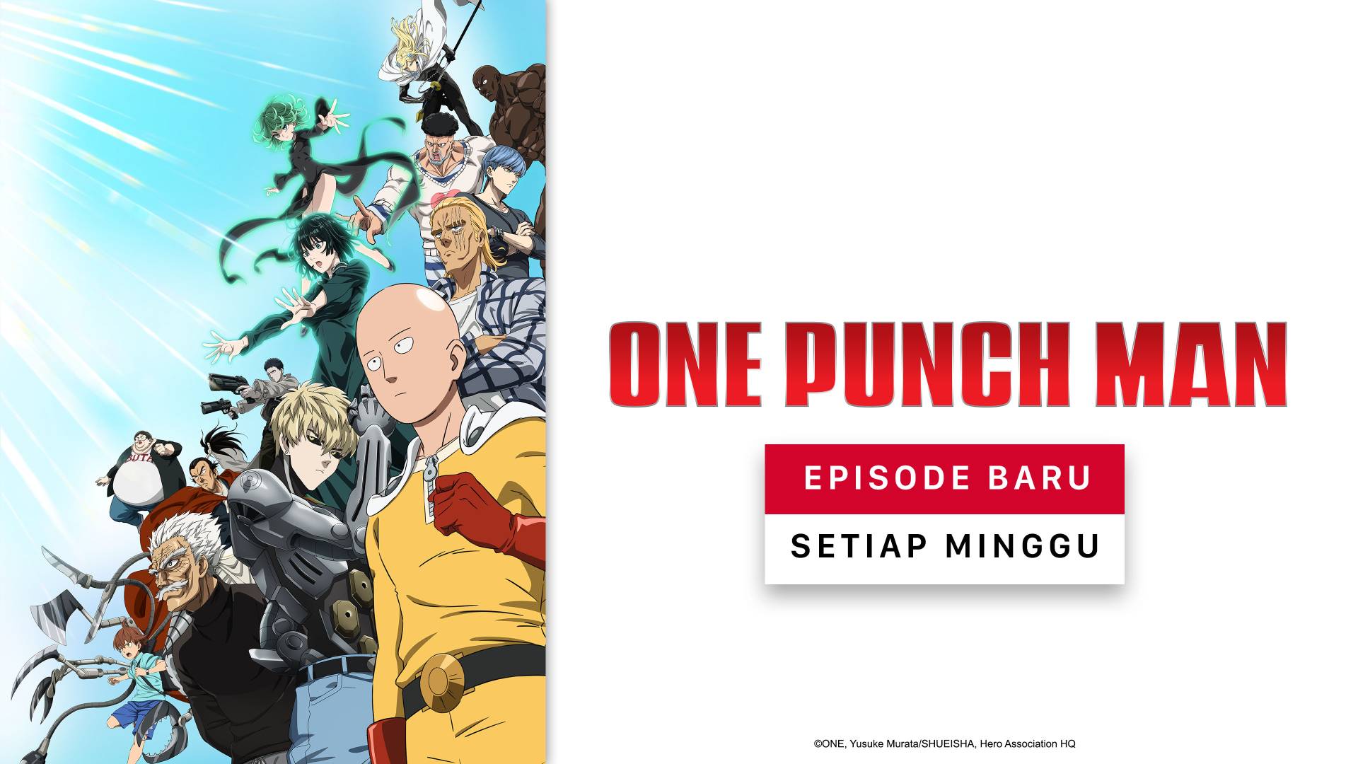One Punch Man