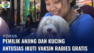 Sambut Hari Rabies, Vaksinasi Gratis Anjing dan Kucing Digelar di Makassar! | Fokus